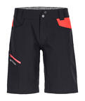 62354-90201-PELMO_SHORTS_W_black_raven_B-01