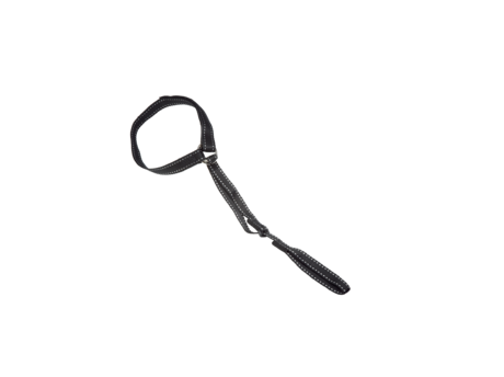 07_Safety_Leash_Scout