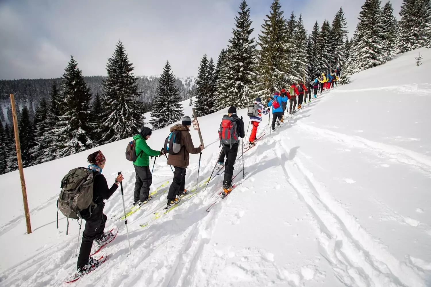 Celodenní výšlap po hřebenech Krkonoš.
