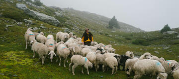 ORTOVOX_SWISSWOOL_WS2324_BEECH_1060205