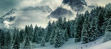 winter-landscape-4745362_1280