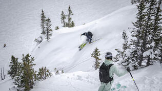 Atris & Atris birdie