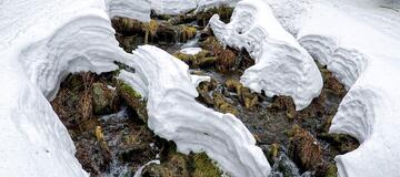 GOPR1084_1584648114064_high (2) (1)