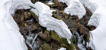 GOPR1084_1584648114064_high (2) (1)