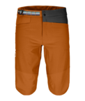 62081-70701-PALA_SHORTS_M_bristle_brown-B-01