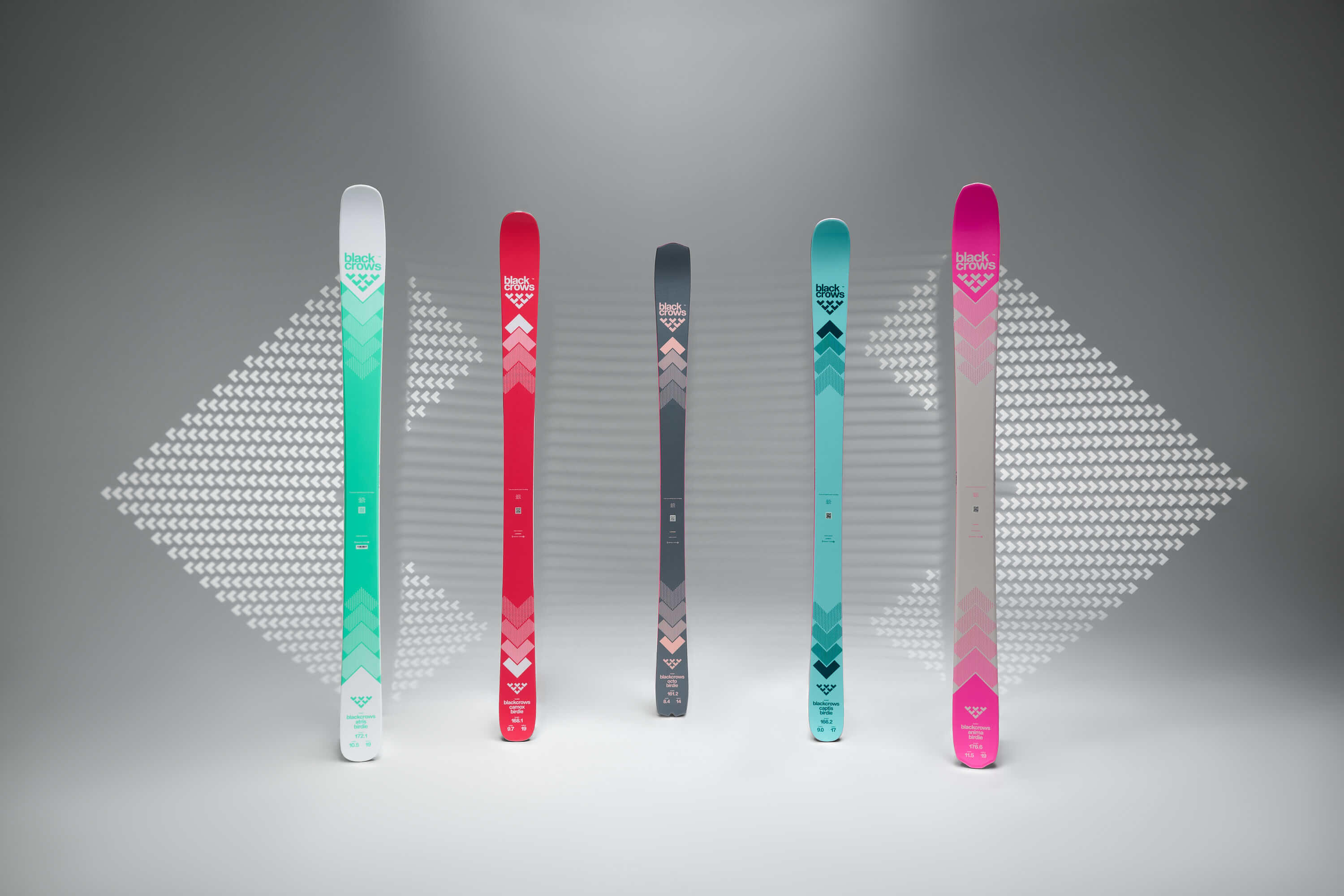 2024-05-27-33896 1-JPEG WEB