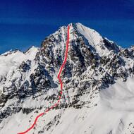 4fe115e9-b15d-47a9-b546-65ea6c7c0ffe