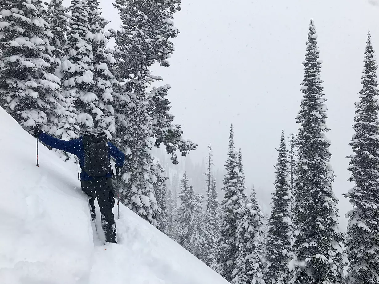 e1fdcf45-3e2b-42f4-bfba-aa993b7d0a1e