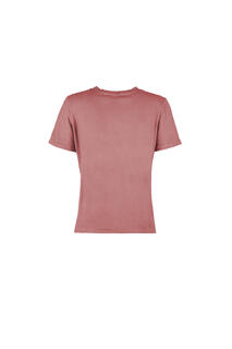 s25-dte009-wild-back-flamingo.jpg