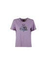 s25-dte009-wild-front-wisteria.jpg
