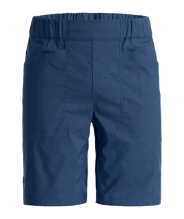 70633-54501-AFFINITY_SHORTS_M_blue_nunatak-B-01