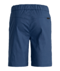 70633-54501-AFFINITY_SHORTS_M_blue_nunatak-B-02