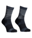 54771-90201-ALL_MOUNTAIN_MID_SOCKS_W_black_raven-B-01