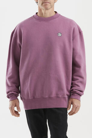 w25-ufl007-turtle-01