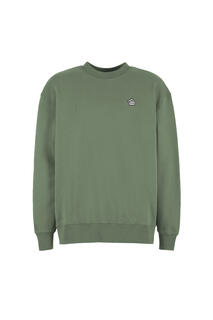 w25-ufl007-turtle-front-agave-sapiens