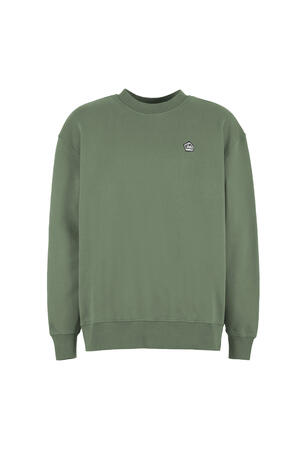 w25-ufl007-turtle-front-agave-sapiens