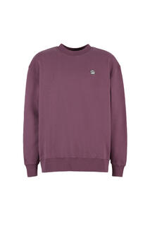 w25-ufl007-turtle-front-tulip-furgo