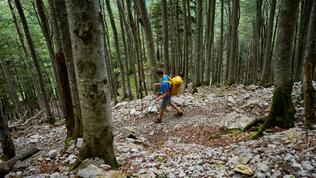 HamishFrost_2024_HF_04378 - Large_SS25