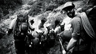 DSF9000_Athlete-Climbing_Nacho und Mo Salbit_SS25_MaxDraeger_MedRes