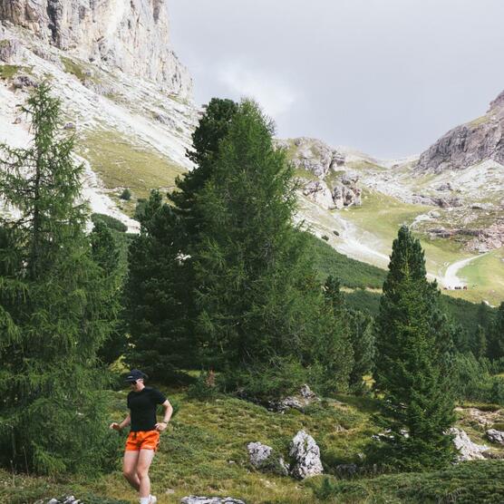 4f54adb7-50f2-492c-a1a6-aee1269ac03e