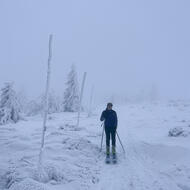 4f54adb7-50f2-492c-a1a6-aee1269ac03e