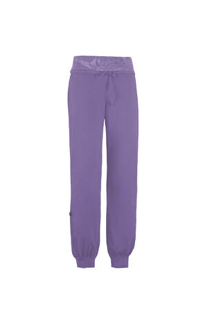 s26-dtr002-hit-front-wisteria