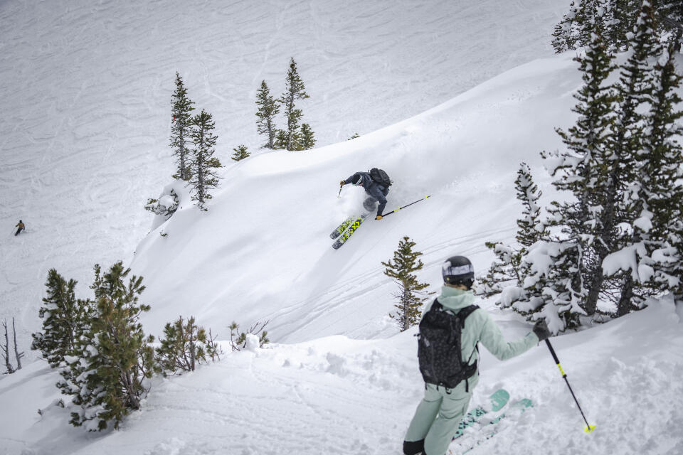 Atris & Atris birdie