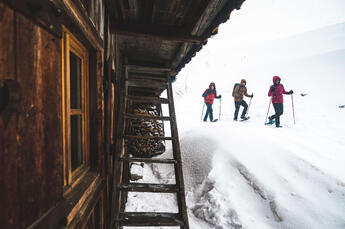 TSL Snowshoes - 21 - © Stef Candé (13)RS (1)