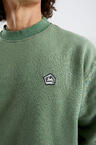 w26-ufl007-turtle-05
