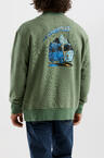 w26-ufl007-turtle-03