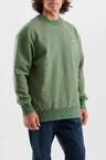 w26-ufl007-turtle-02