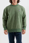 w26-ufl007-turtle-01
