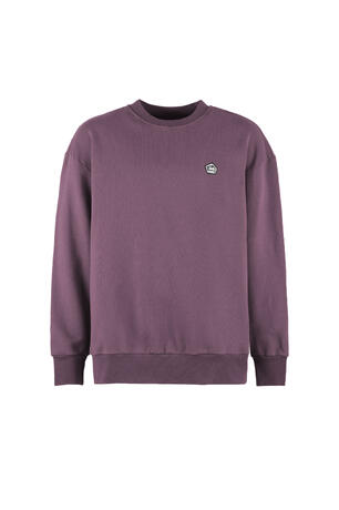 w26-uls002-turtle-furgo-front-tulip