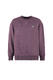 w26-uls002-turtle-furgo-front-tulip
