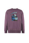 w26-uls002-turtle-furgo-back-tulip