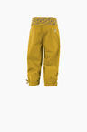 S22-DSH002-ncleo2-back-grape