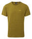 ME_Groundup_Tee_FirGreenStripe
