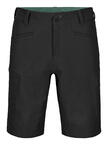 62257-90201-PELMO_SHORTS_M_black_raven-B-01