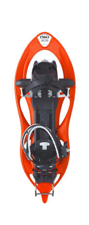 305 ELEVATION - HALLOWEEN